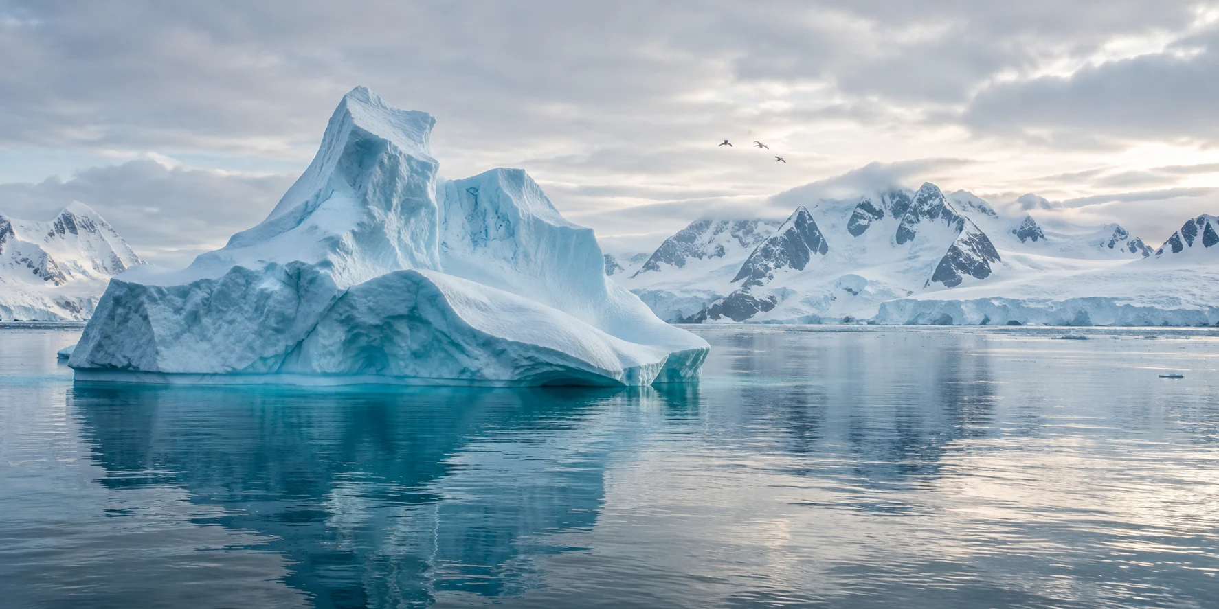 A sculptural iceberg reflected in still polar water